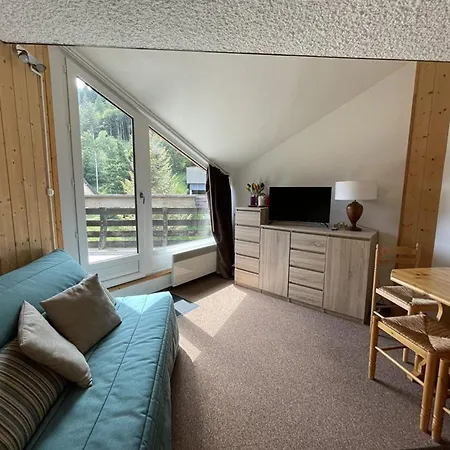 Apartment Avec Balcon Au Centre Station, Proche Pistes Et Patinoire - Fr-1-787-46 Laveissiere